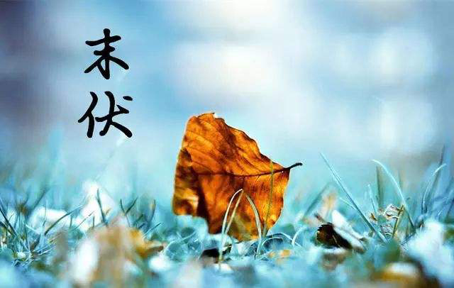 “秋老虎”来袭，如何养生？
