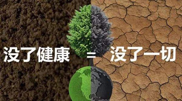 贾云峰：疫情常态化下，大健康产业发展的五个关键
