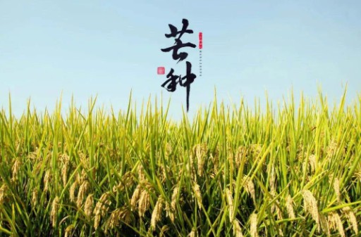 芒种到，防苦夏，祛湿很重要。